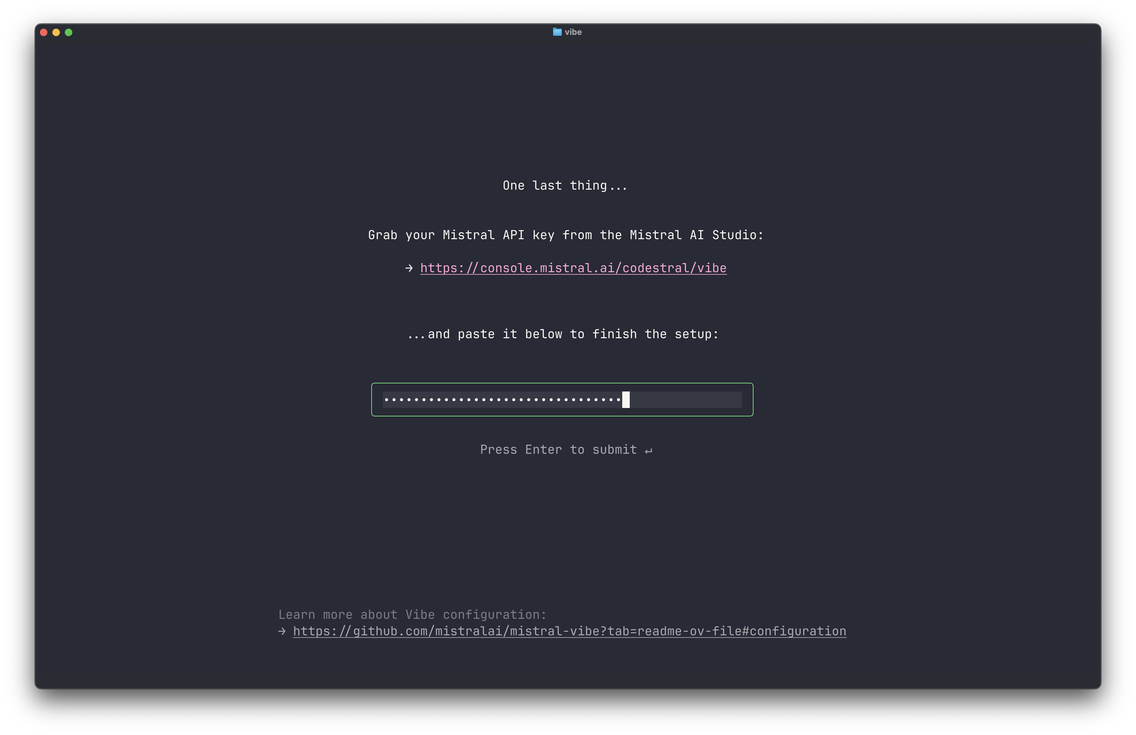 Entering the API key on first launch