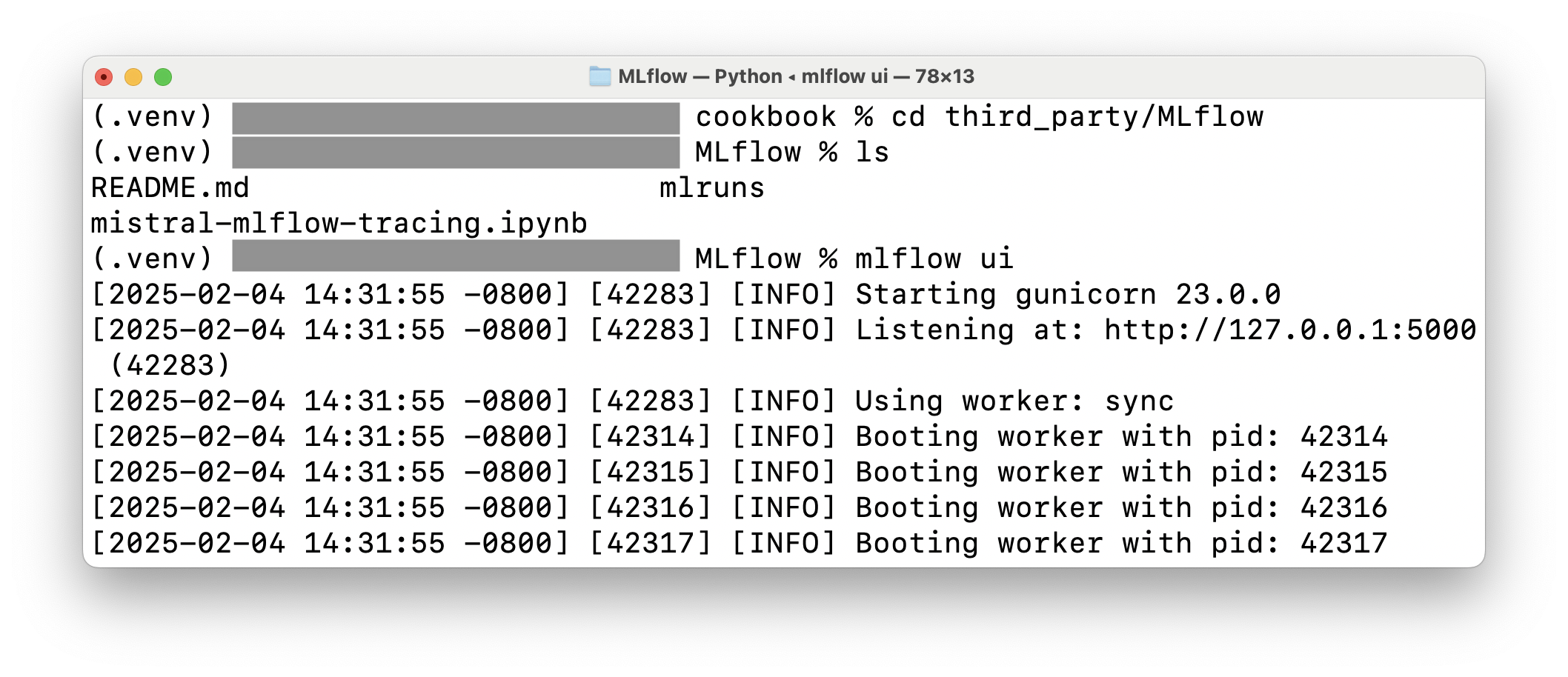 Screenshot of launching the MLflow UI via command line
